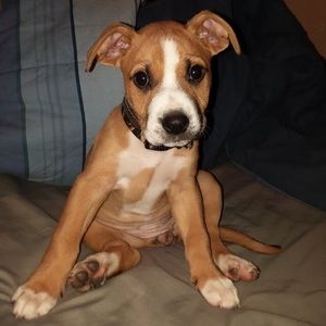 Meet your Posher, Bethany